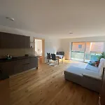 Moderne Apartments Mit Balkon Bergblick & Teilweisem Seeblick Ruhige Lage Im Salzkammergut Nahe Attersee Apartamento