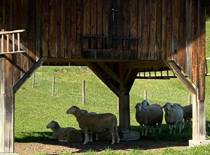 شقة Moderne Am Attersee Dachsteinblick - Ruhige Lage Mit Traumhaften Blick