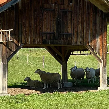 דירה Moderne Am Attersee Dachsteinblick - Ruhige Lage Mit Traumhaften Blick